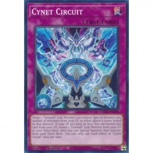 Circuito Cynet