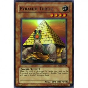 Pyramid Turtle