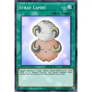 Stray Lambs