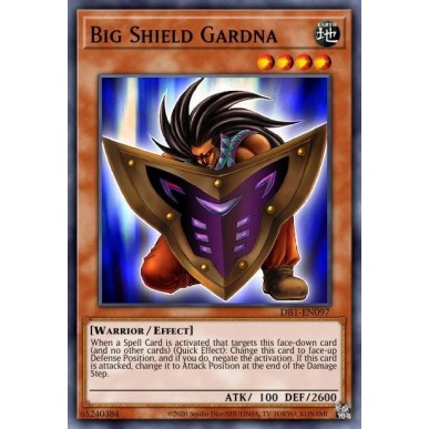 Big Shield Gardna