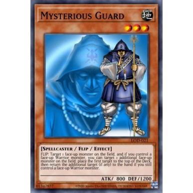 Mysterious Guard
