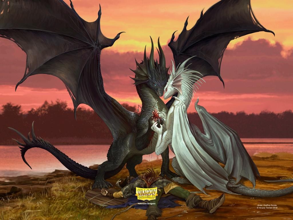 Dragon Shield Bustine Protettive Valentine Dragons
