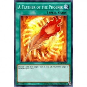 A Feather of the Phoenix