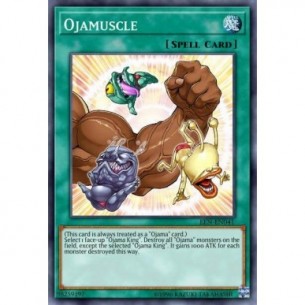 Ojamuscle