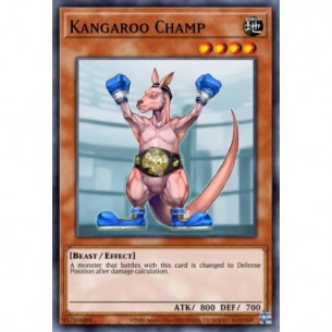 Campione Canguro