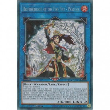 Brotherhood of the Fire Fist - Peacock
