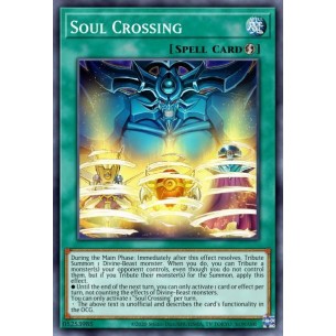 Soul Crossing