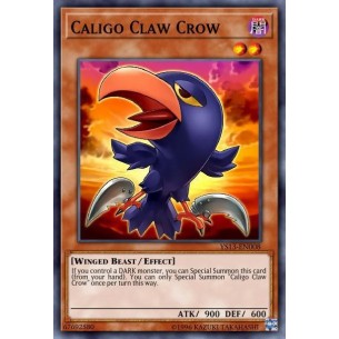 Caligo Claw Crow