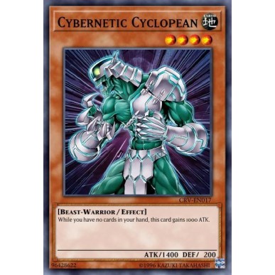 Cybernetic Cyclopean
