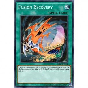 Fusion Recovery