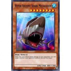 Hyper-Ancient Shark Megalodon