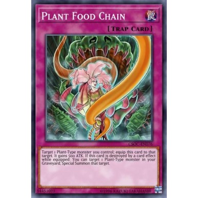 Catena Alimentare delle Piante