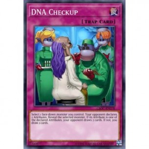 Controllo del DNA