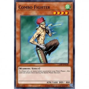 Guerriero della Combinazione