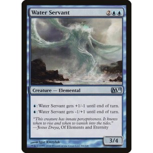 Servitore d'Acqua