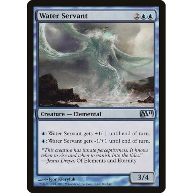 Servitore d'Acqua