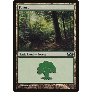 Foresta