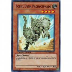 Fossil Dyna Pachycephalo