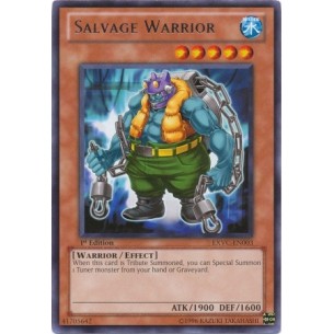 Salvage Warrior