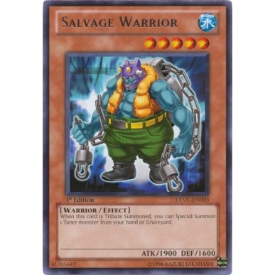 Salvage Warrior