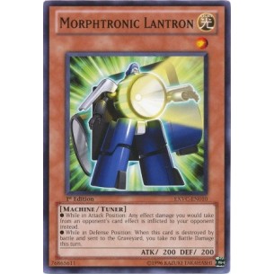 Torcia Morfotronica