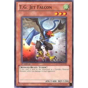 T.G. Falco Jet