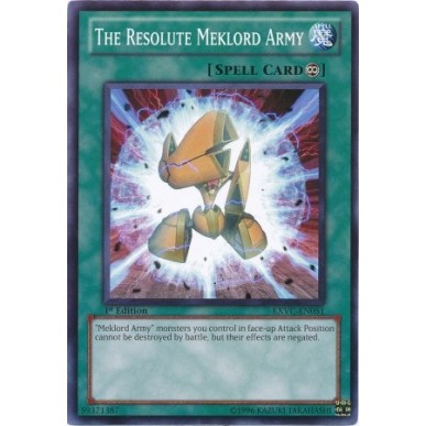 Il Risoluto Esercito Meklord