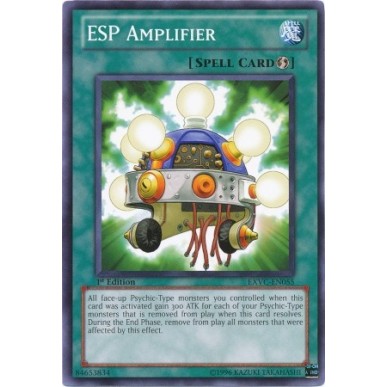 ESP Amplifier