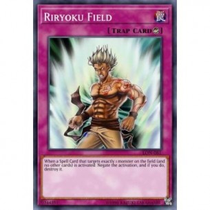 Terreno Riryoku