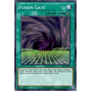 Fusion Gate