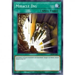 Miracle Dig