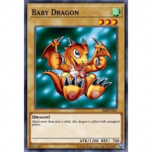 Baby Dragon