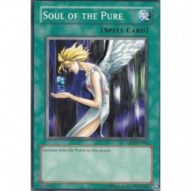Soul of the Pure