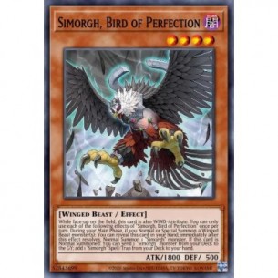 Simorgh, Volatile della...