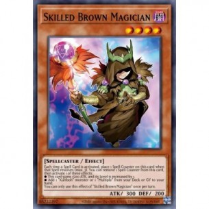 Skilled Brown Magician