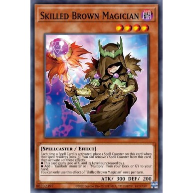 Skilled Brown Magician