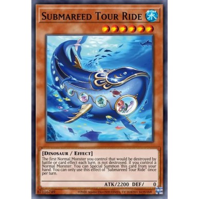 Submareed Tour Ride