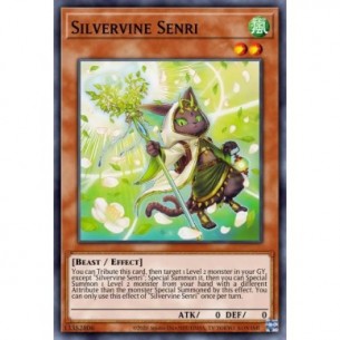 Silvervine Senri