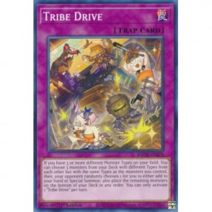 Motivato dalla Tribù
