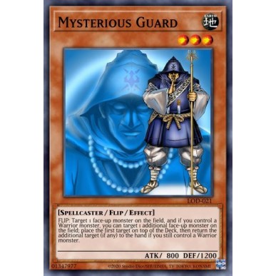 Mysterious Guard