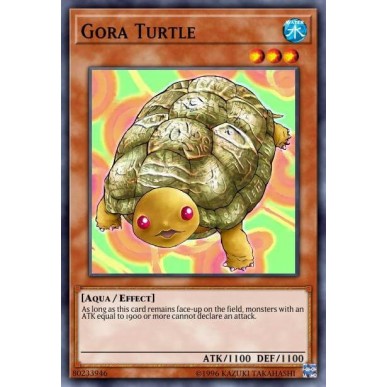 Tartaruga Gora