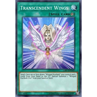 Transcendent Wings