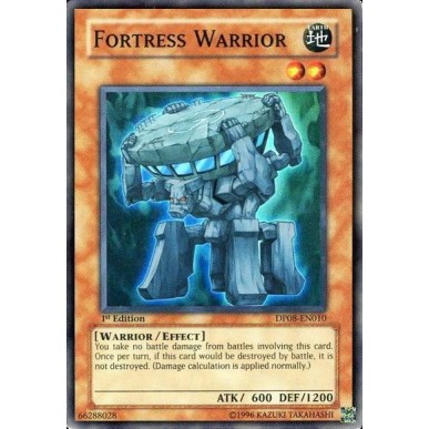 Fortress Warrior