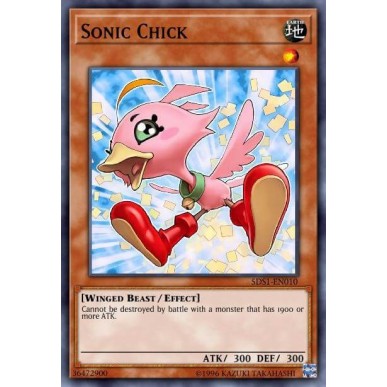 Pulcino Sonico
