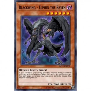 Blackwing - Elphin the Raven