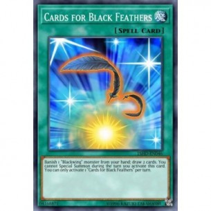 Cards for Black Feathers