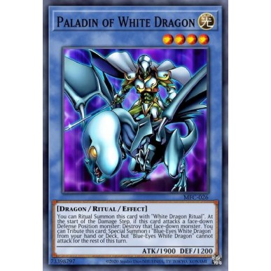 Paladin of White Dragon