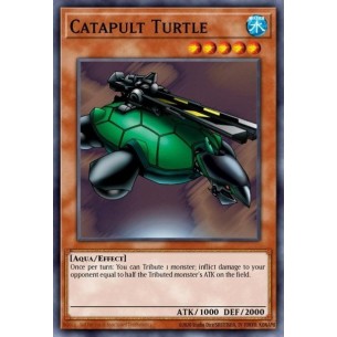 Catapult Turtle