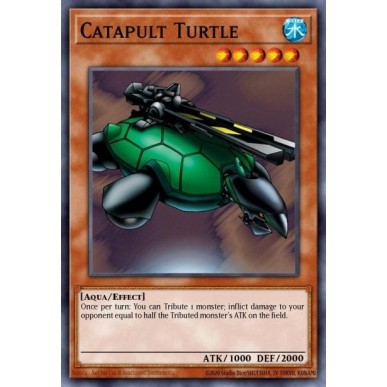 Catapult Turtle