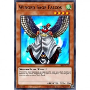 Saggio Falco Alato